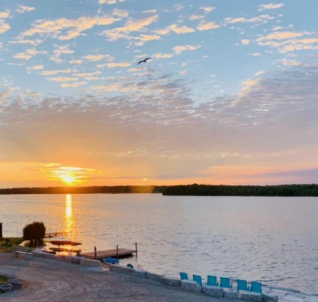 Tamarac Island Motel Stokes Bay Exteriér fotografie